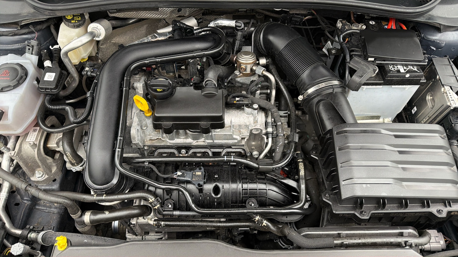 Used Volkswagen Polo 2025 for sale - 78106541: Photo 18