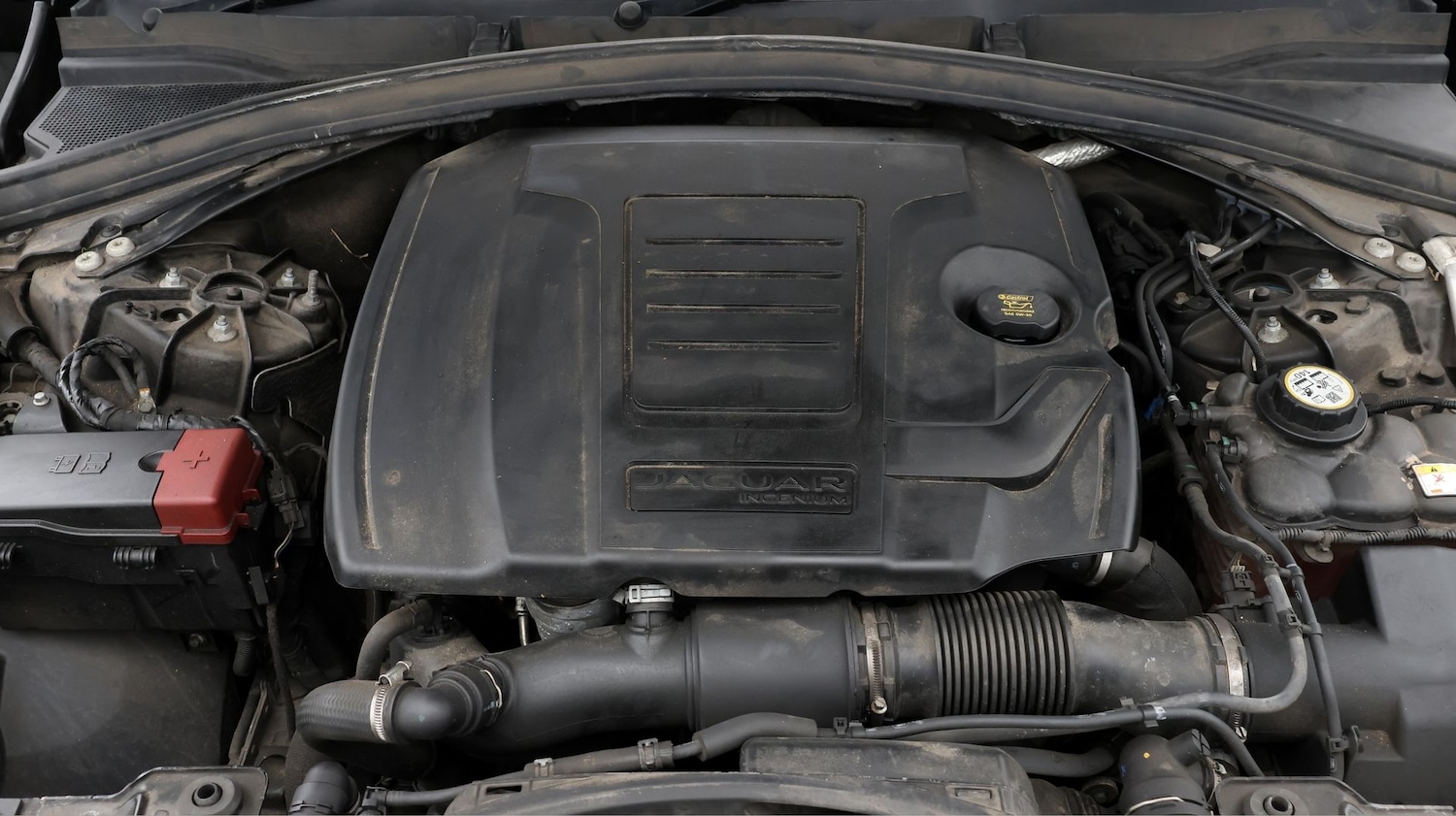 Used Jaguar F-Pace 2021 for sale - 77700867: Photo 19