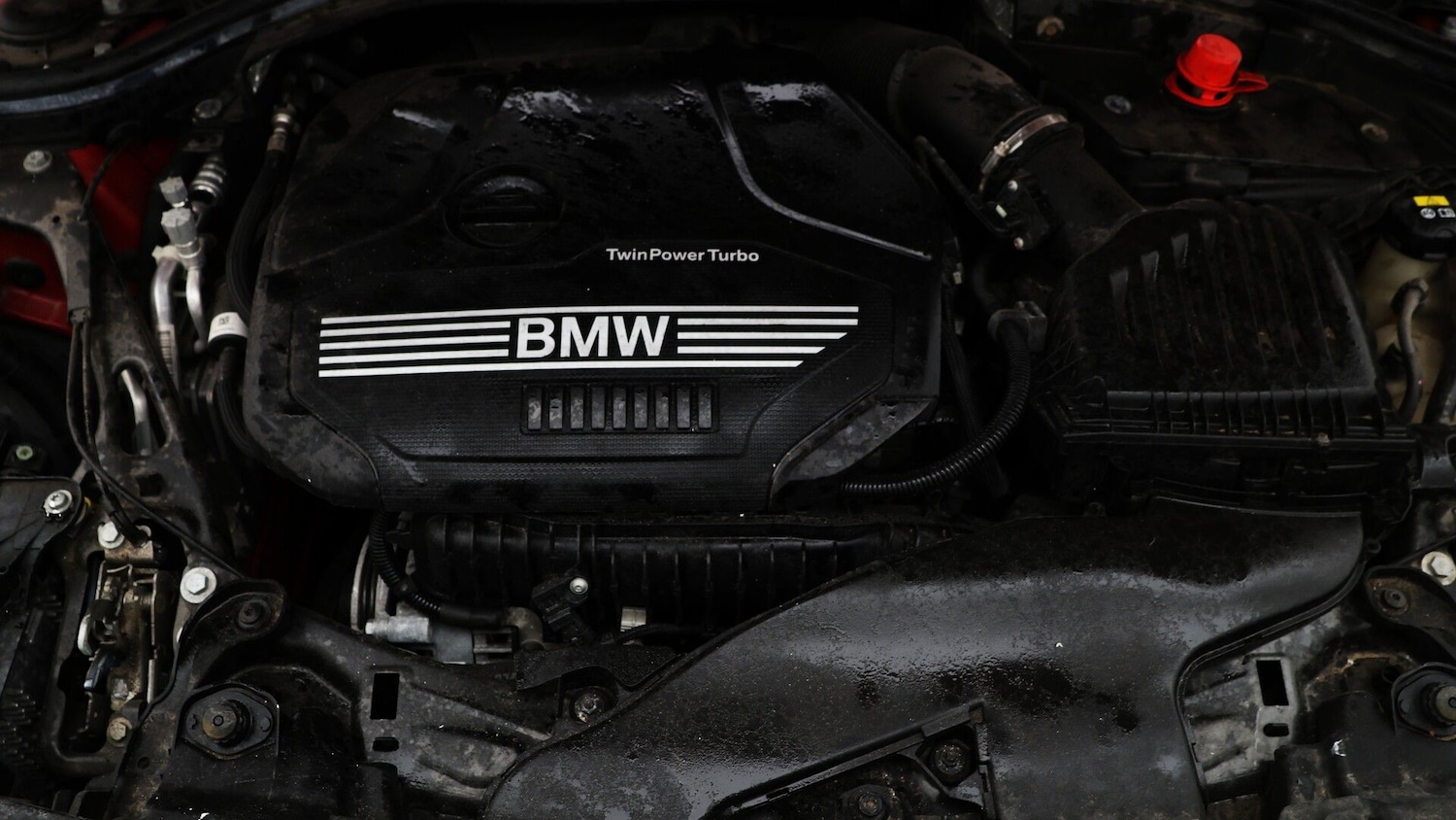 Used BMW 1 Series 2019 for sale - 77277181: Photo 19