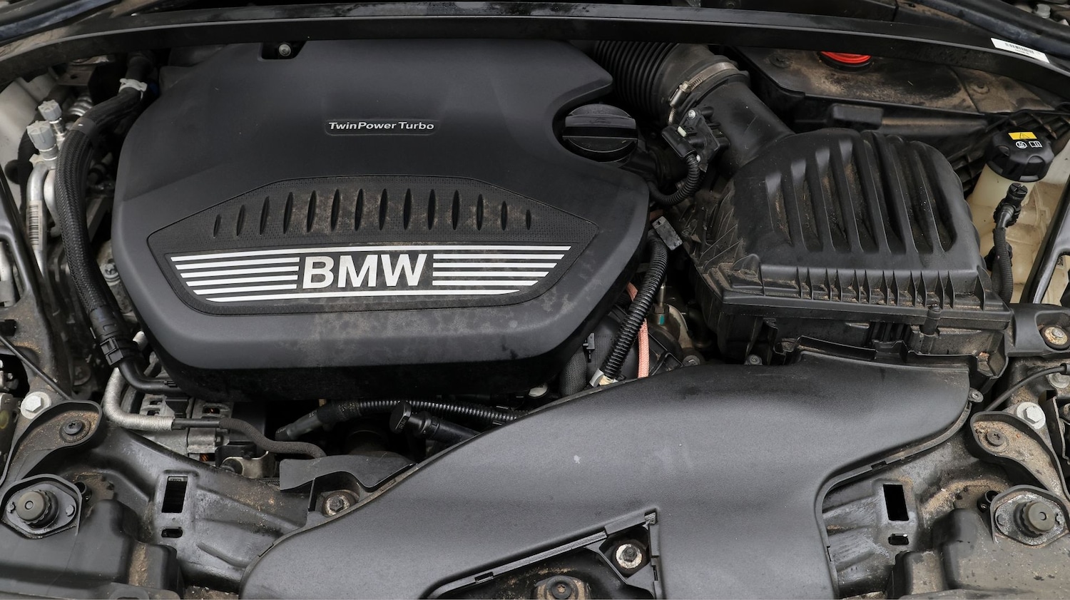 Used BMW 1 Series 2019 for sale - 77690921: Photo 19