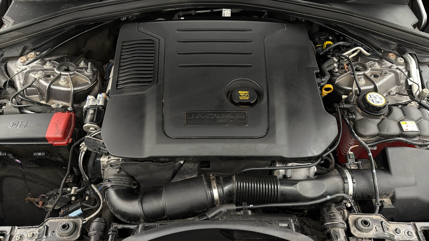 Used Jaguar F-Pace 2023 for sale - 77973852: Photo 18