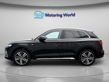 Used Audi Q5 2023 for sale - 79548066: Photo