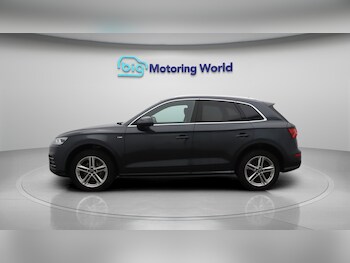 Used Audi Q5 2019 for sale - 76381185: Photo