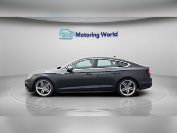 Used Audi A5 2020 for sale - 79173156: Photo