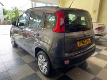 Used Fiat Panda 2017 for sale - 74882529: Photo