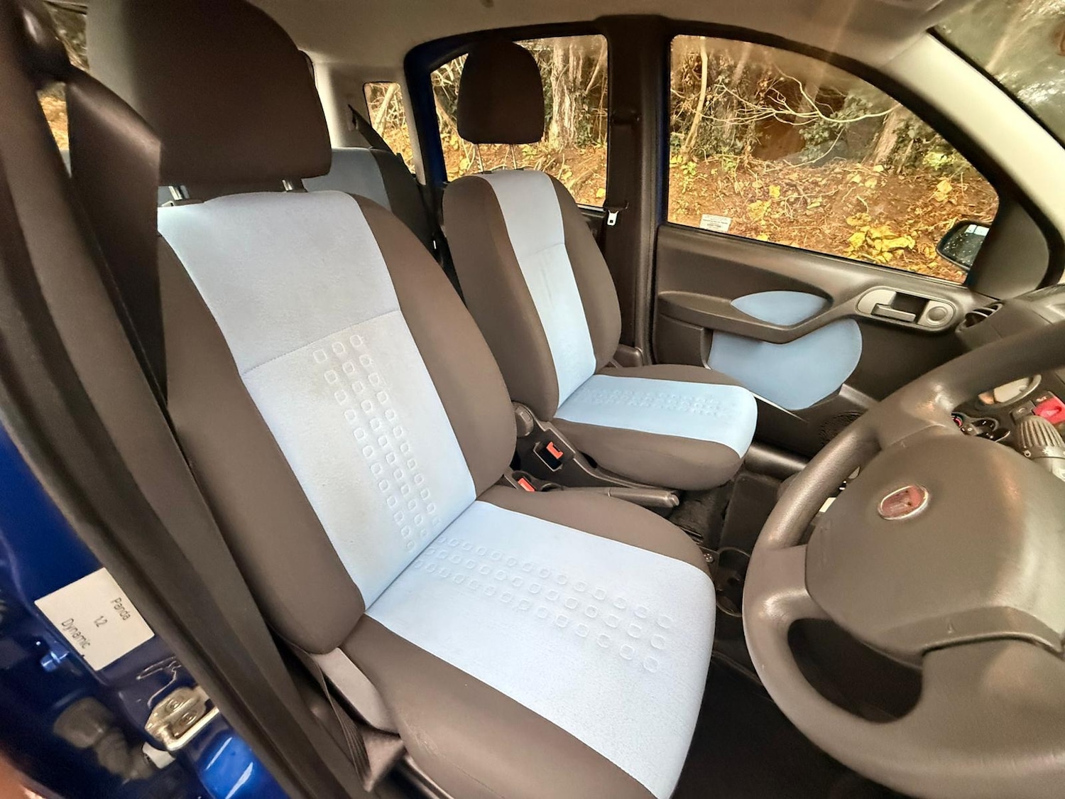 Used Fiat Panda 2008 for sale - 77084309: Photo 8