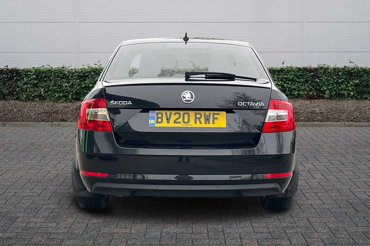 Used Skoda Octavia 2020 for sale - 77176888: Photo 8