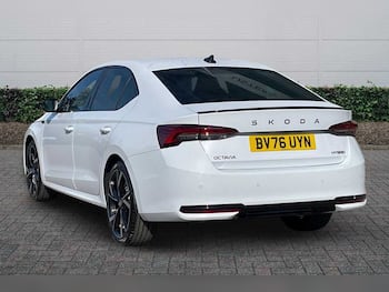 Used Skoda Octavia 2026 for sale - 79728066: Photo