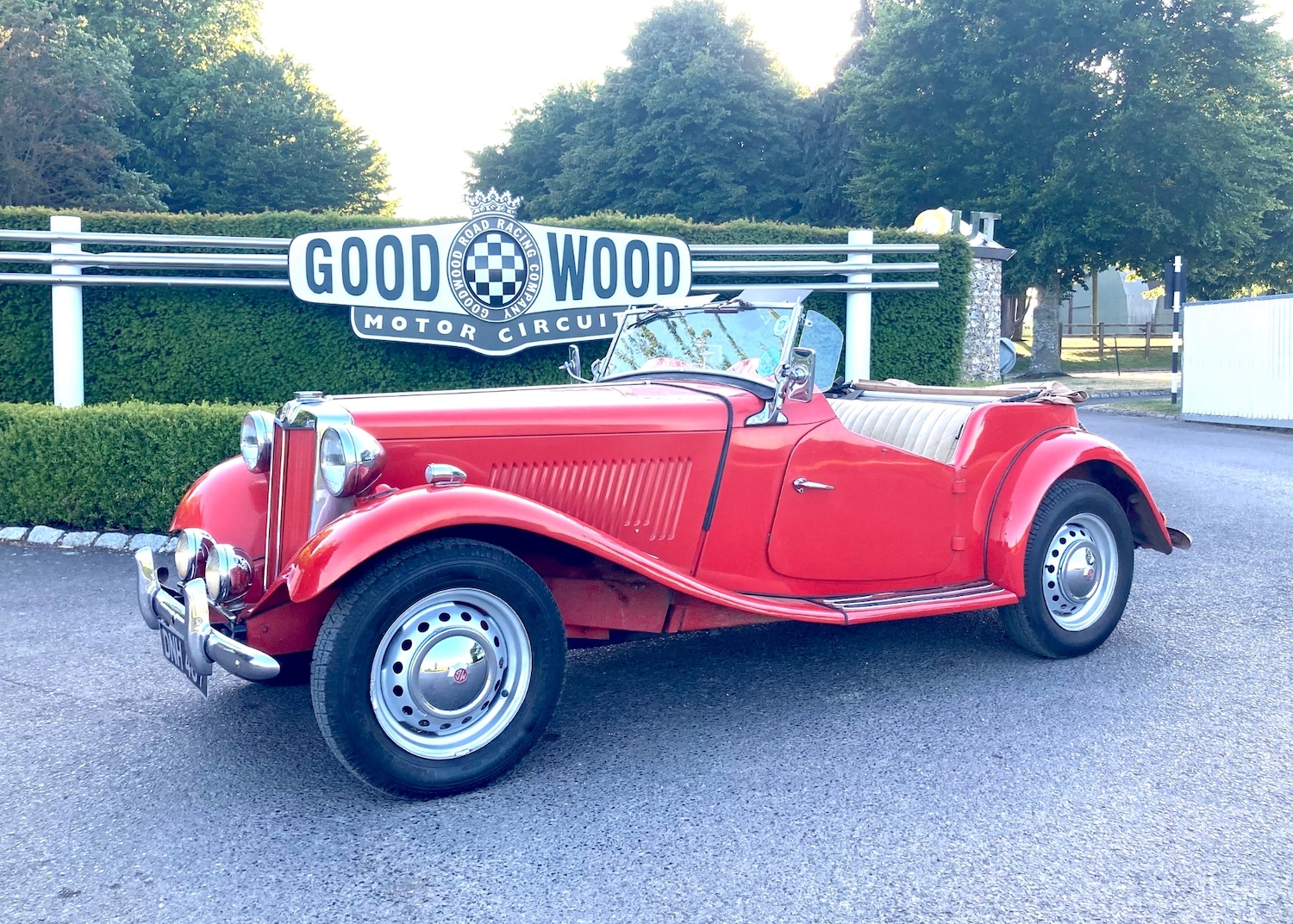 Used MG TD 1953 for sale - 77578228: Photo 6