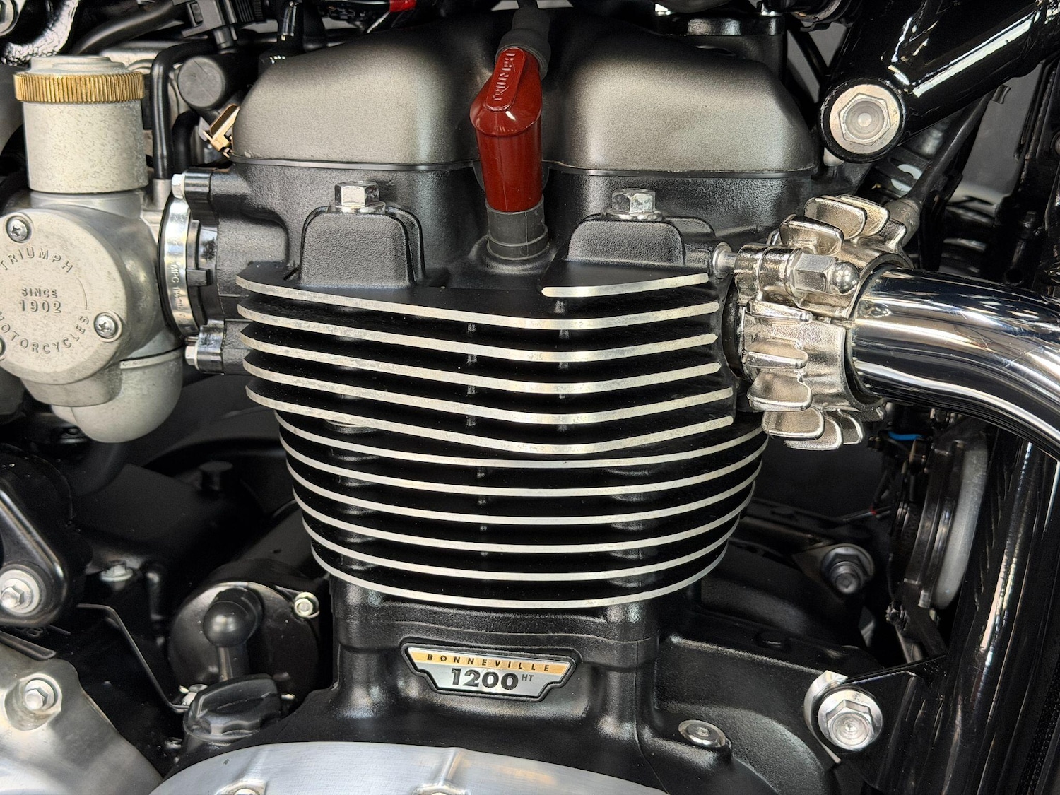Used Triumph Speedmaster 1200 2024 for sale - 78585829: Photo 15