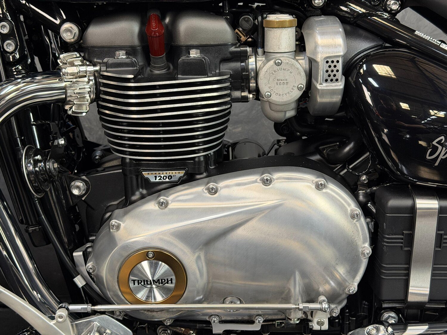 Used Triumph Speedmaster 1200 2024 for sale - 78585829: Photo 39