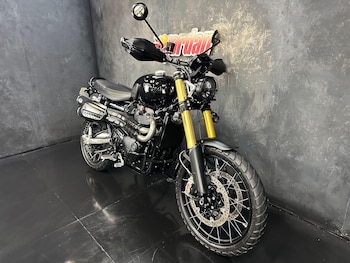 Used Triumph Scrambler 1200 2024 for sale - bike-79316191: Photo
