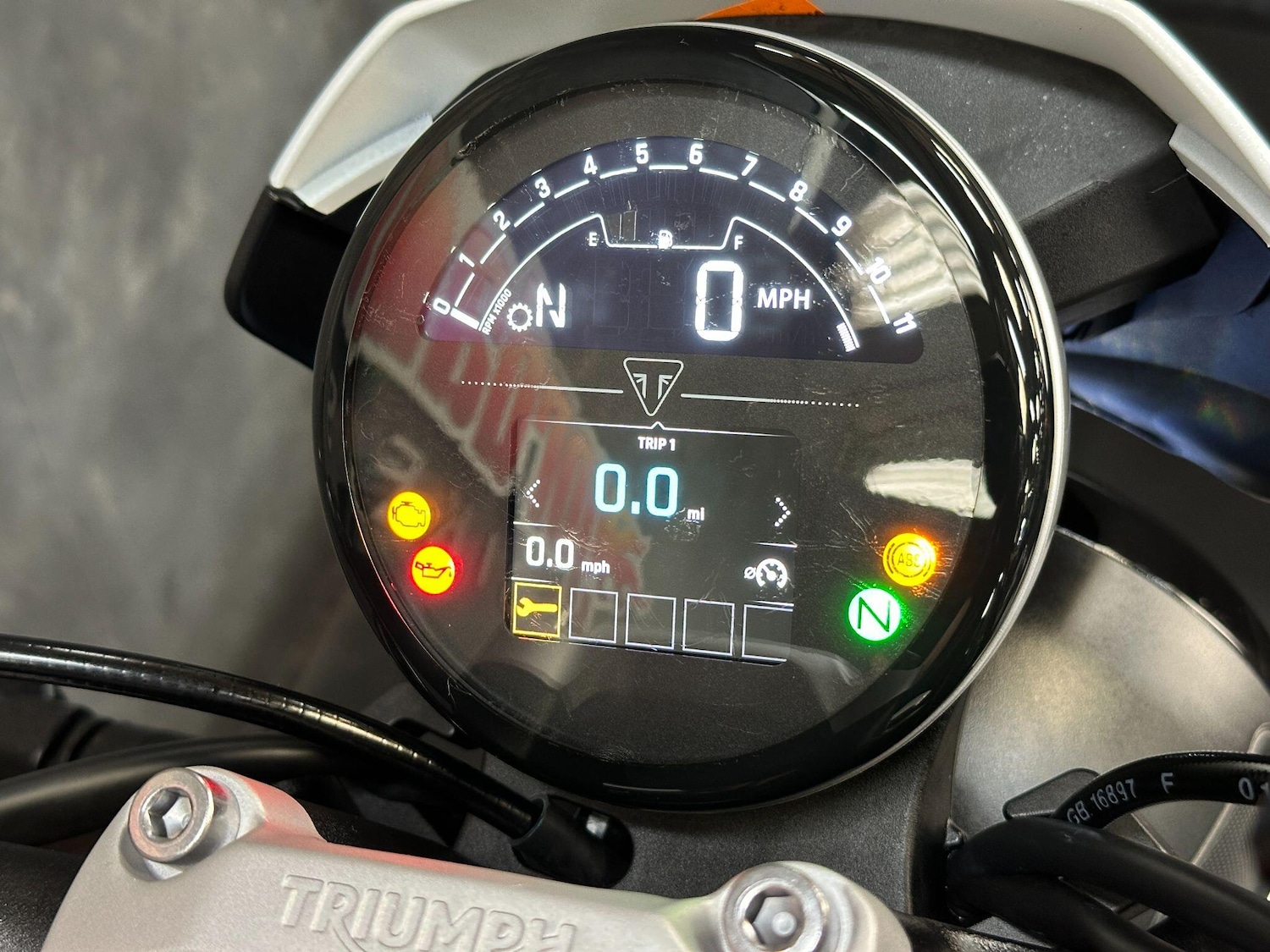 Used Triumph TRIDENT 2022 for sale - 78741064: Photo 24