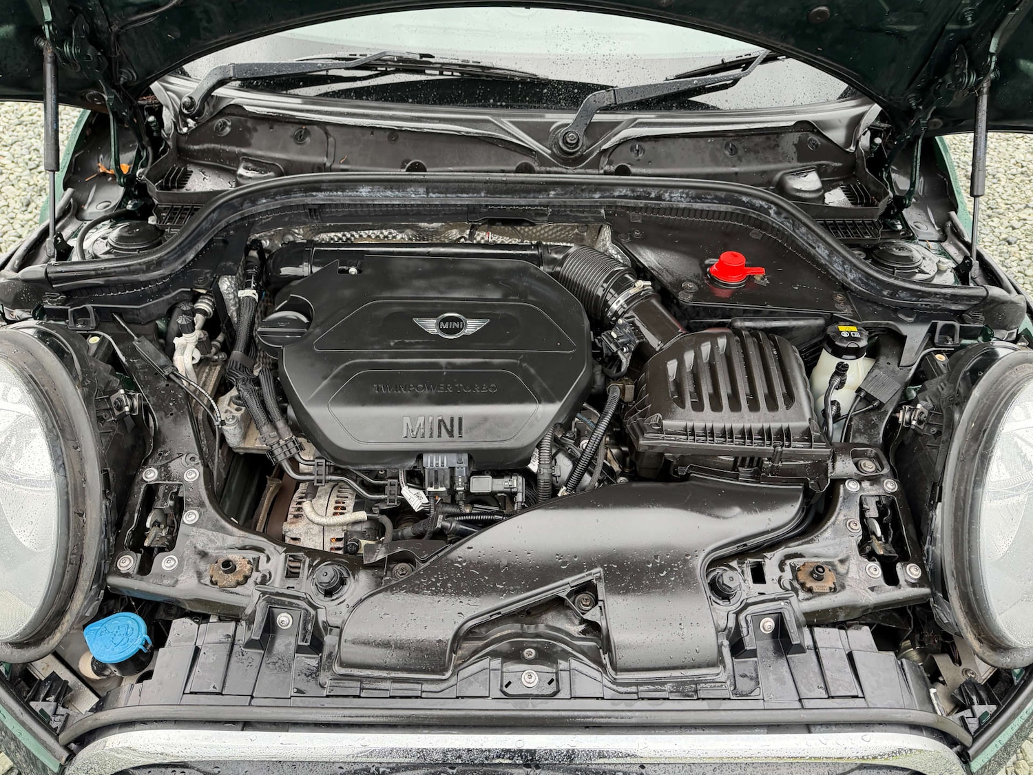 Used MINI Hatch 2016 for sale - 77641687: Photo 52