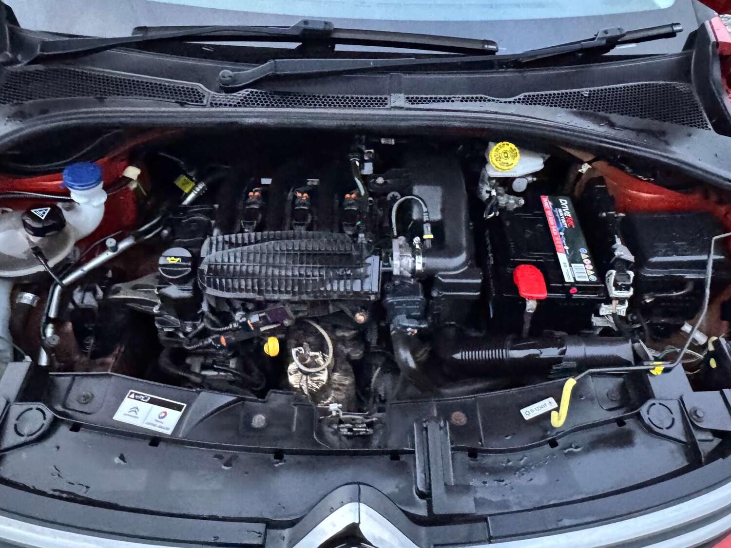 Used Citroen C3 2018 for sale - 77641653: Photo 51