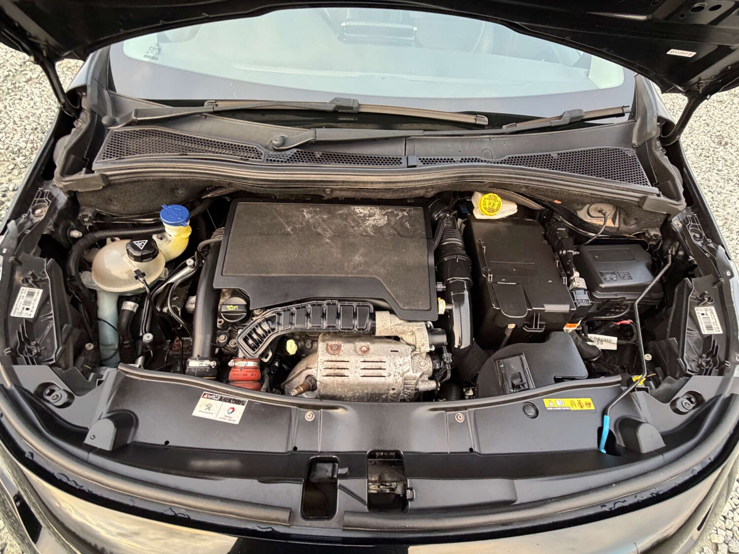 Used Peugeot 2008 2019 for sale - 77641722: Photo 57