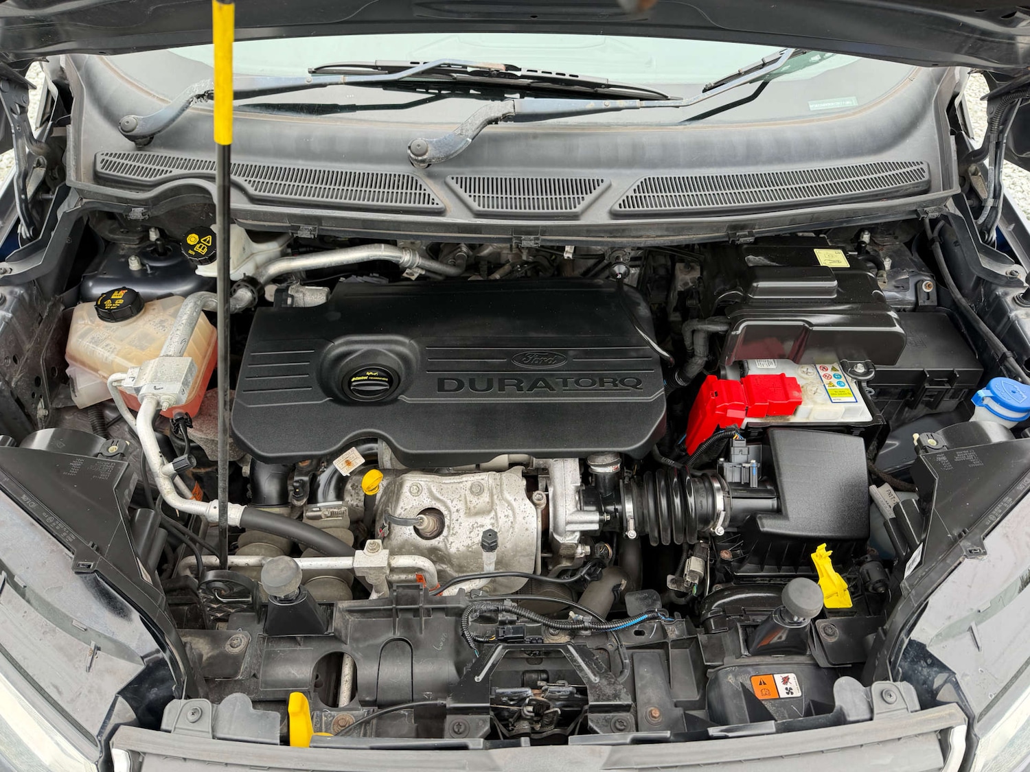 Used Ford Ecosport 2017 for sale - 77641673: Photo 54