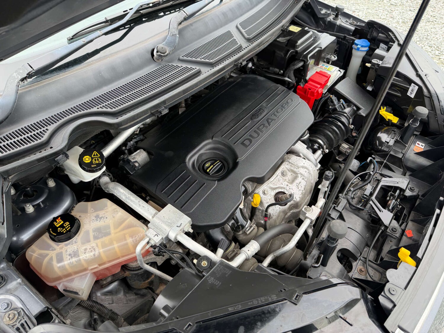 Used Ford Ecosport 2017 for sale - 77641673: Photo 55