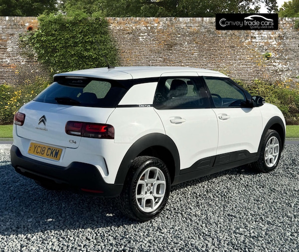 Used Citroen C4 Cactus 2018 for sale - 76191194: Photo 8
