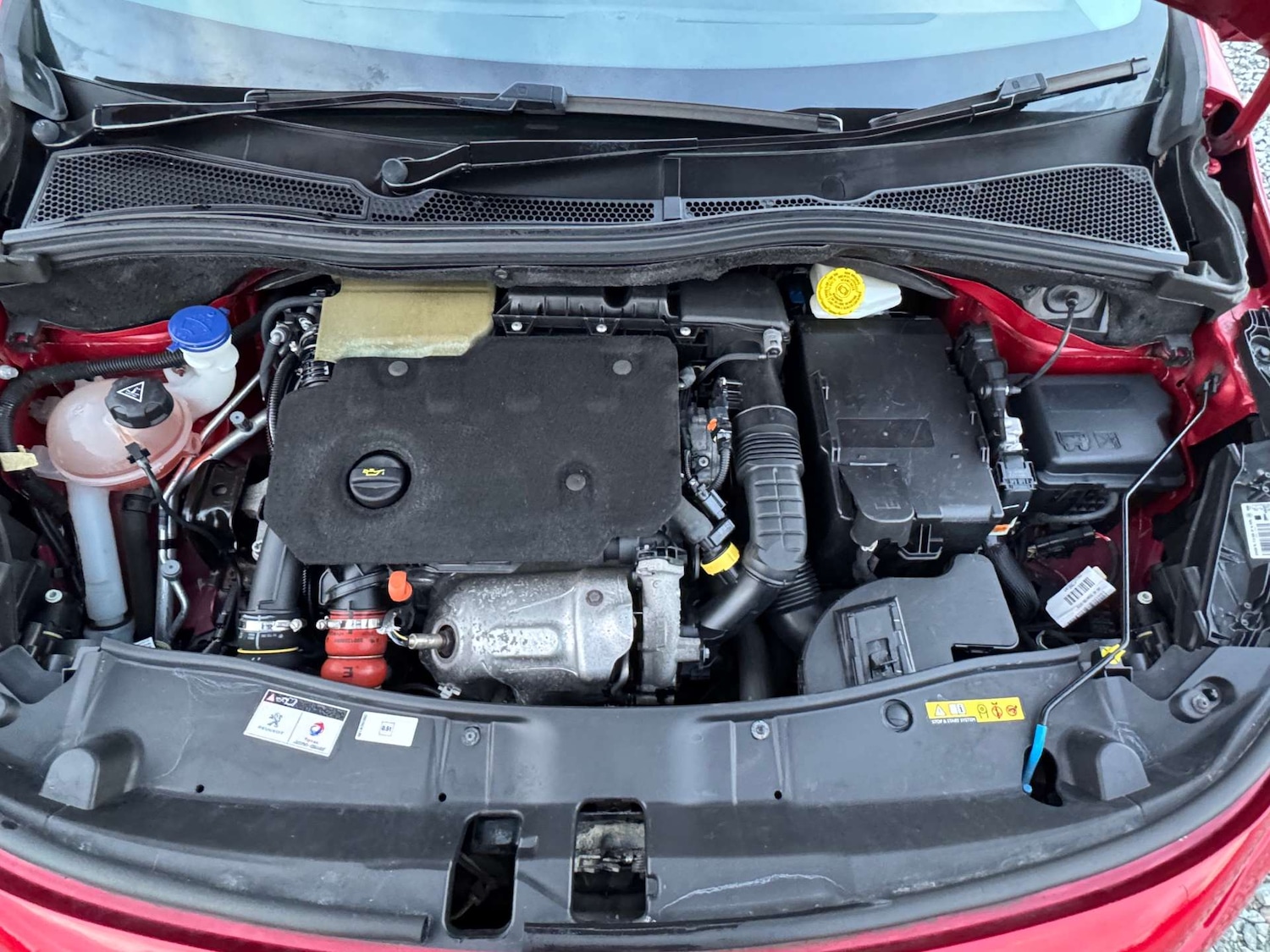 Used Peugeot 2008 2019 for sale - 77641647: Photo 57