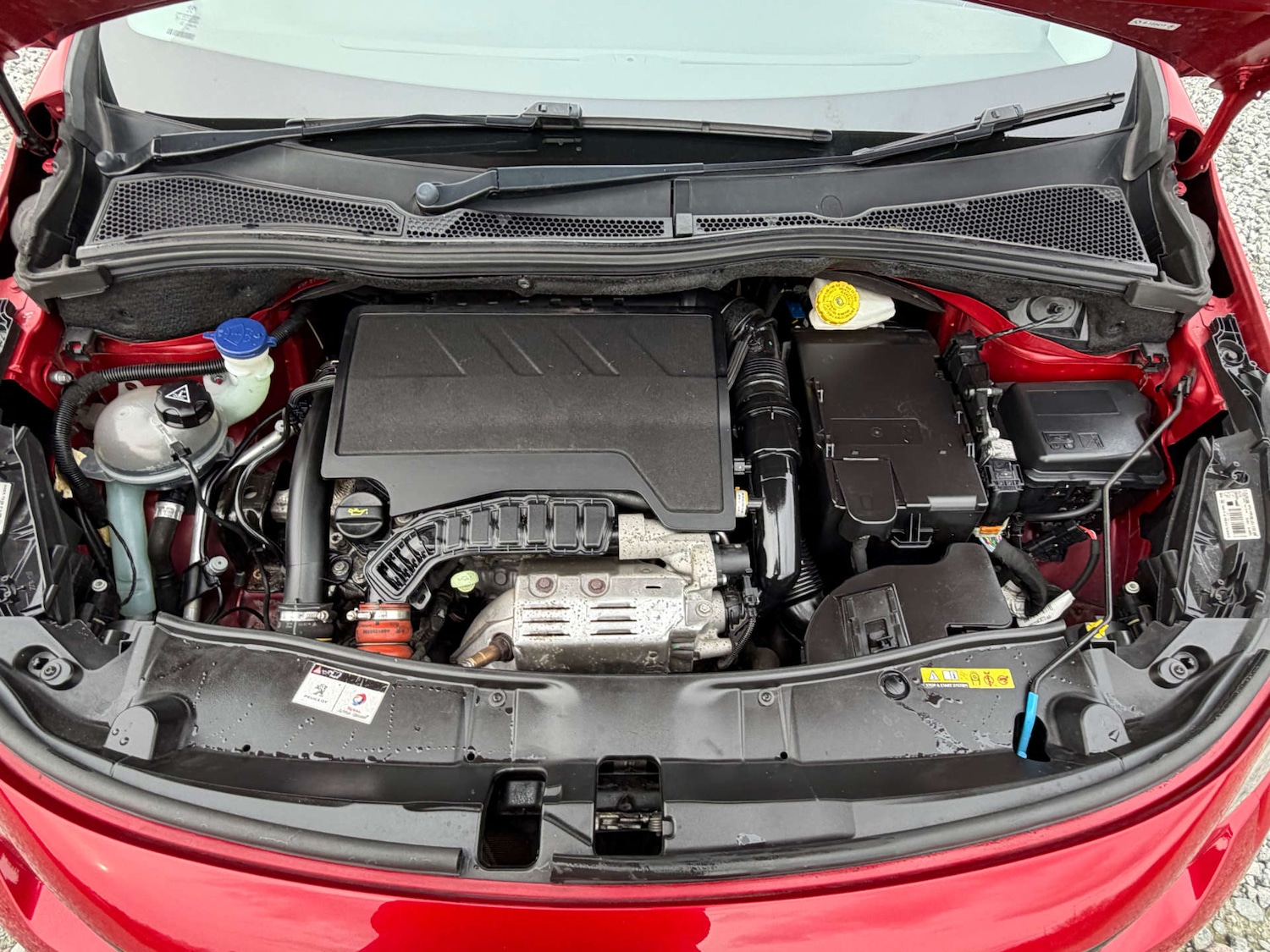 Used Peugeot 2008 2019 for sale - 77880416: Photo 75