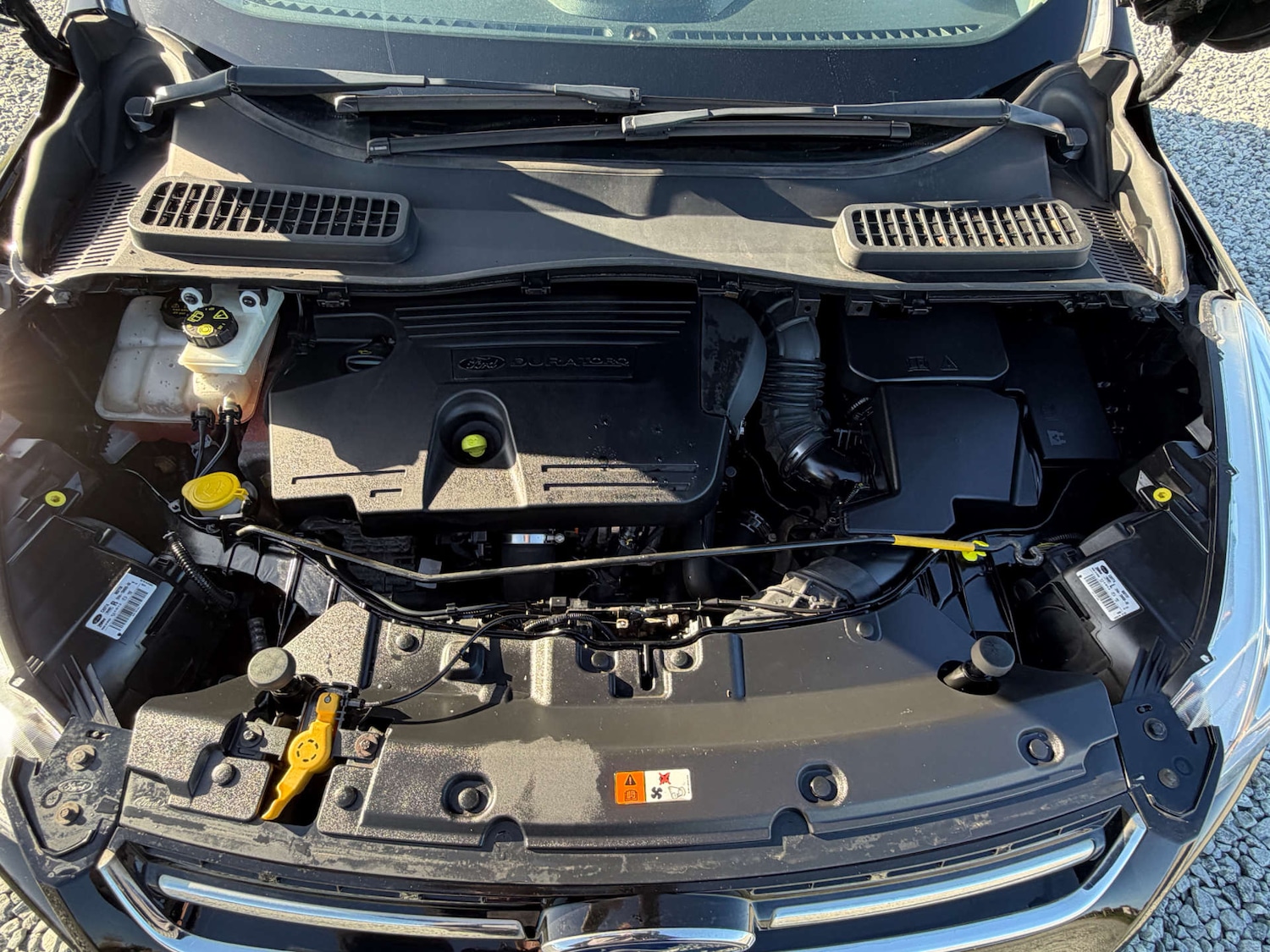 Used Ford Kuga 2016 for sale - 77941619: Photo 43