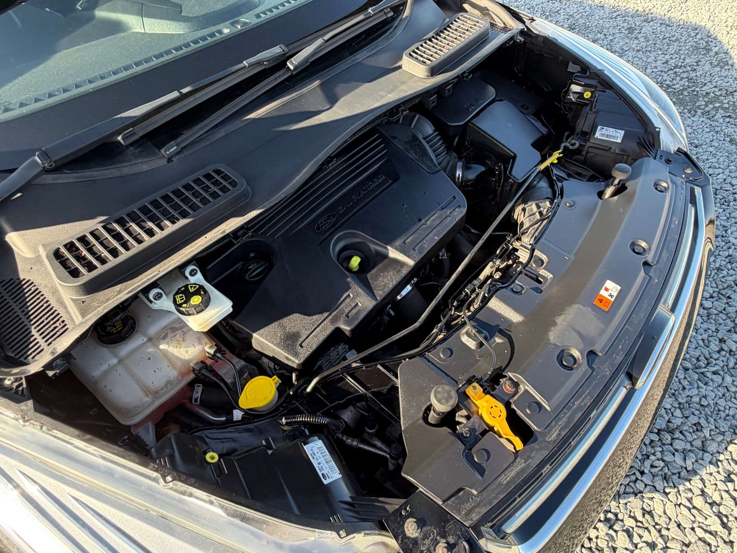 Used Ford Kuga 2016 for sale - 77941619: Photo 44