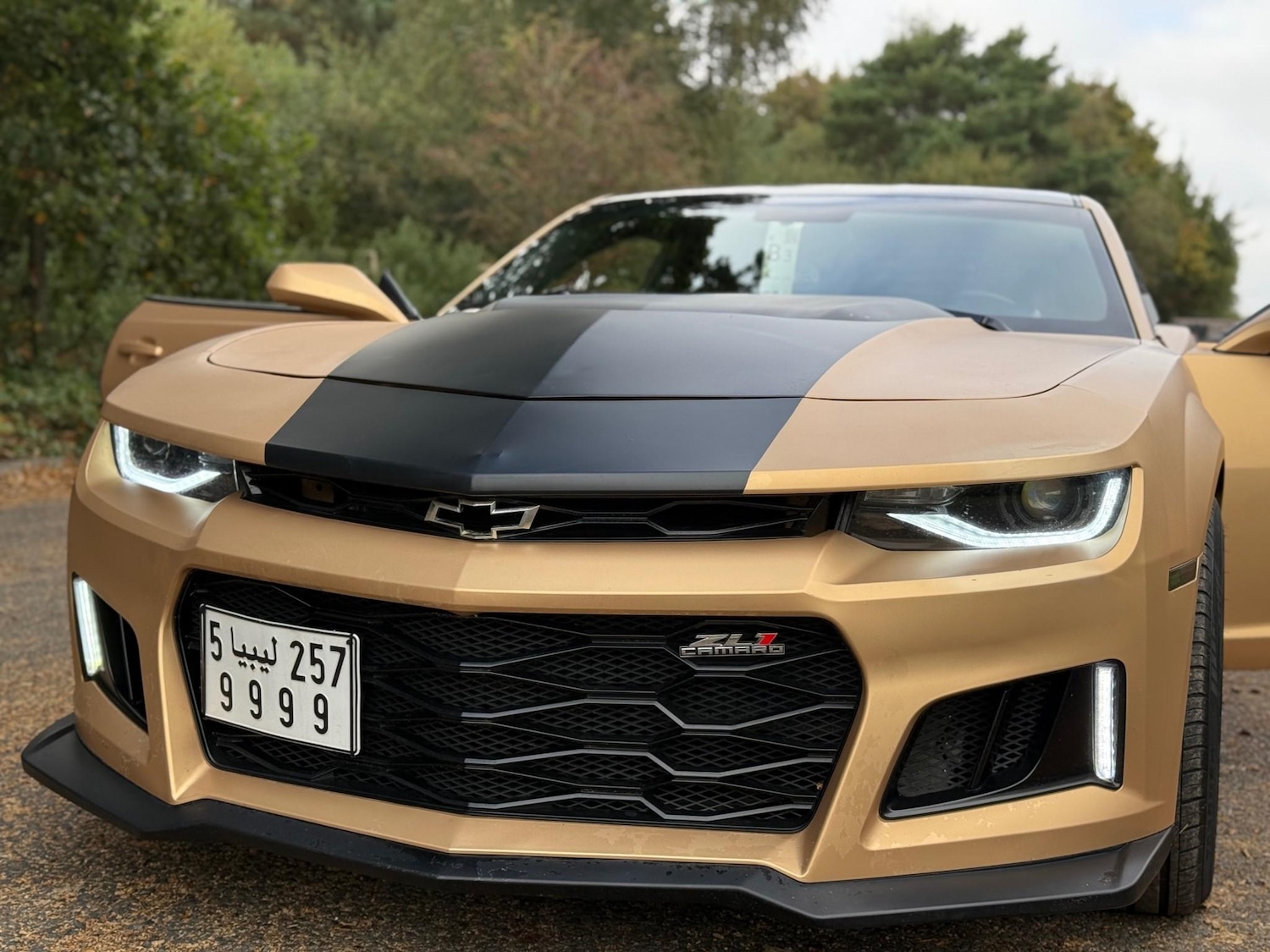 Used Chevrolet Camaro for sale - 76438722: Photo 19