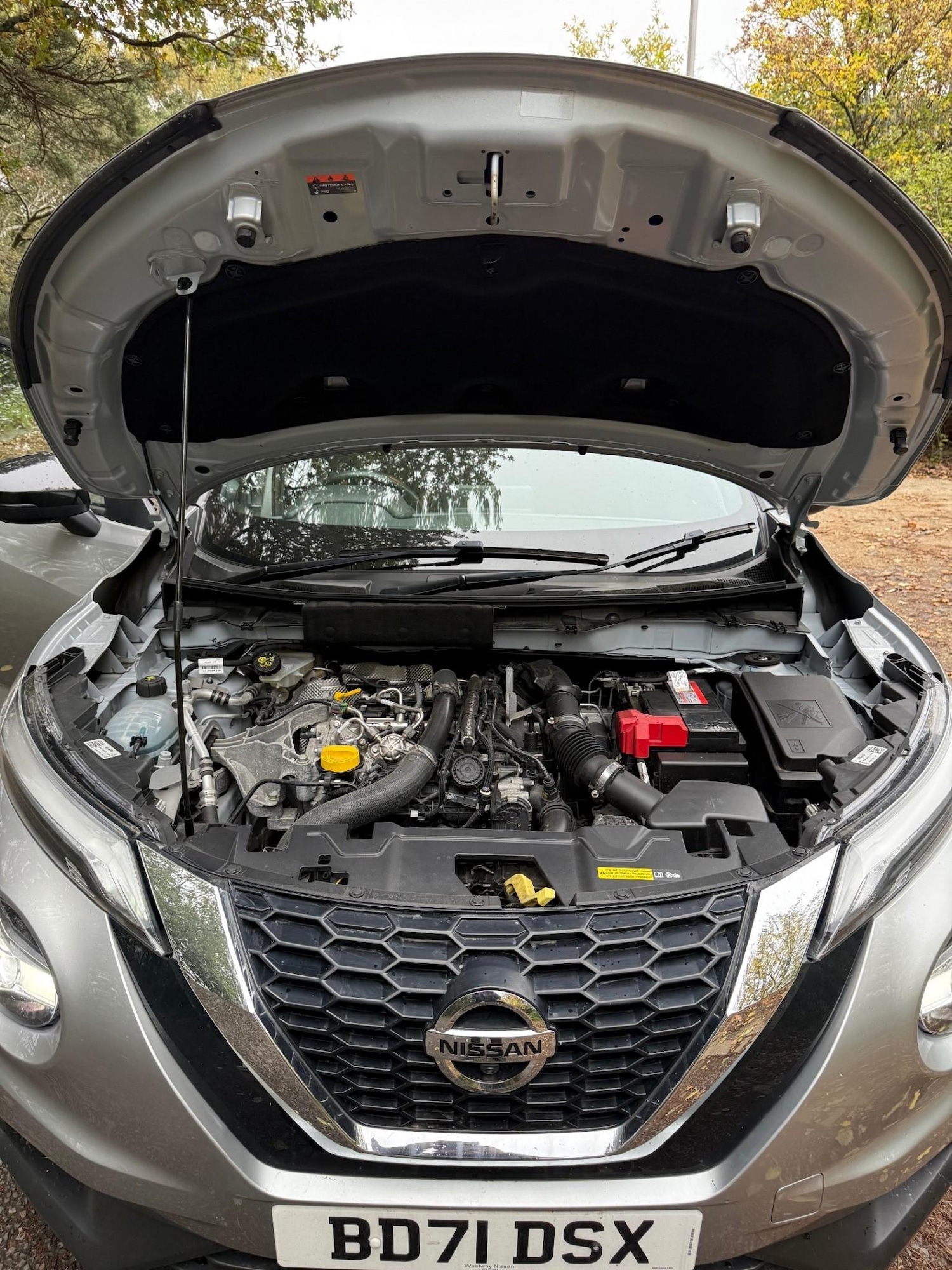 Used Nissan Juke 2022 for sale - 75723305: Photo 41