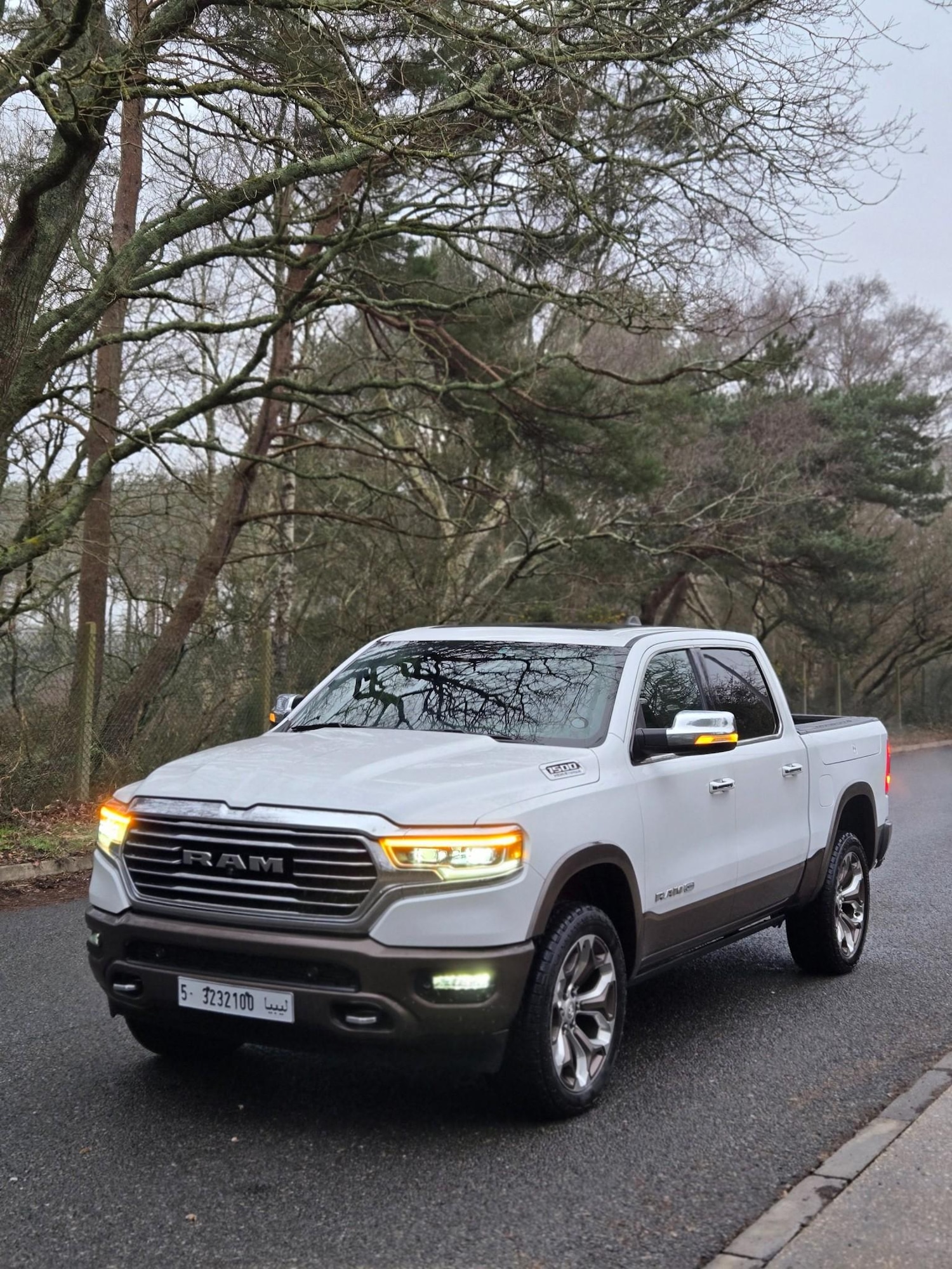 Used Dodge RAM for sale - 77799647: Photo 1