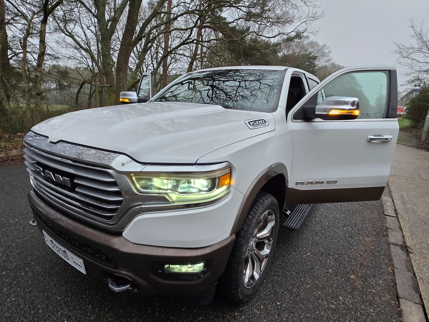 Used Dodge RAM for sale - 77799647: Photo 25