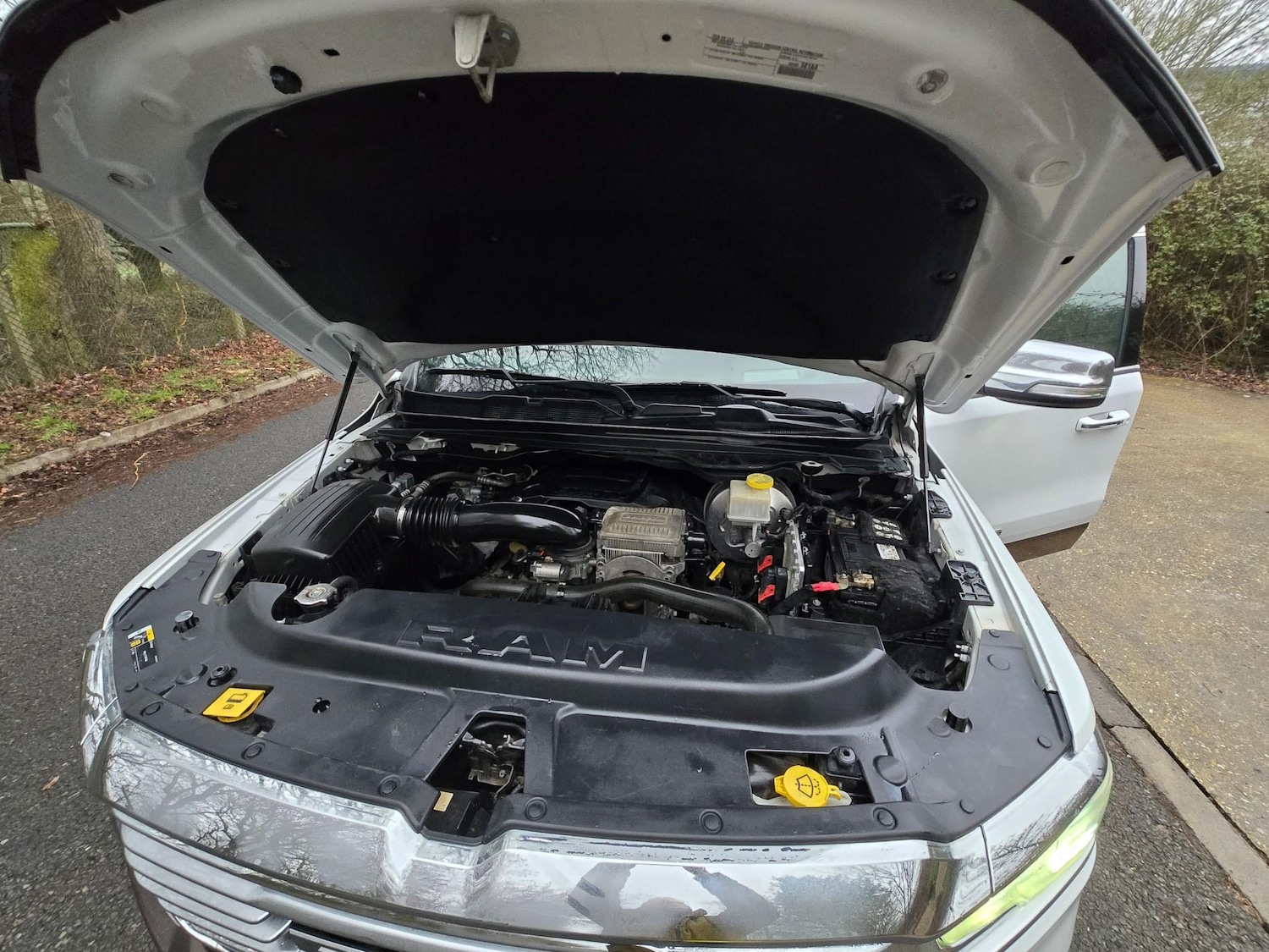 Used Dodge RAM for sale - 77799647: Photo 31