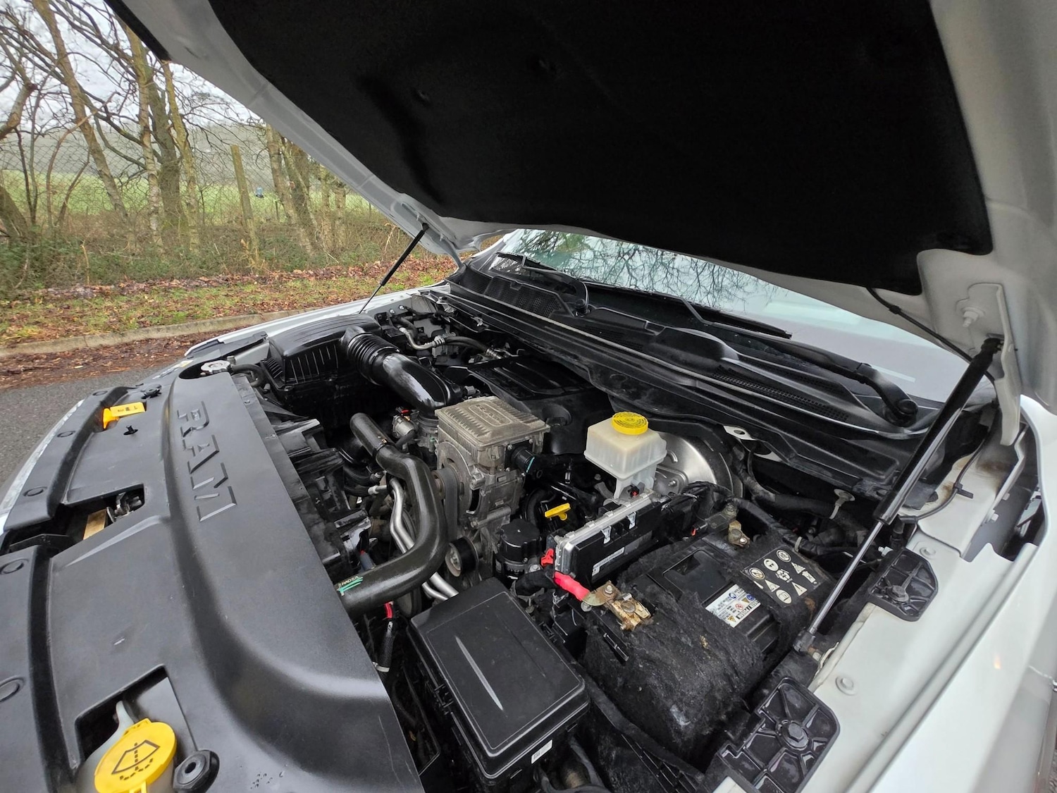 Used Dodge RAM for sale - 77799647: Photo 32