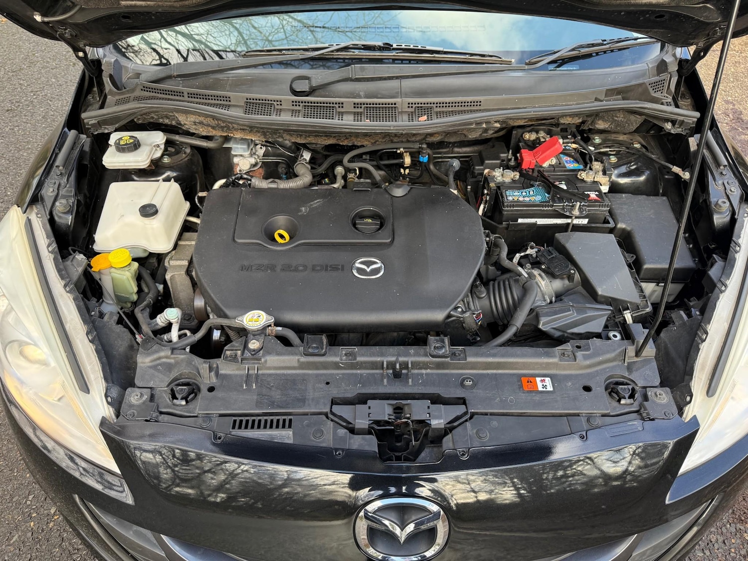 Used Mazda Mazda5 2012 for sale - 77239179: Photo 19