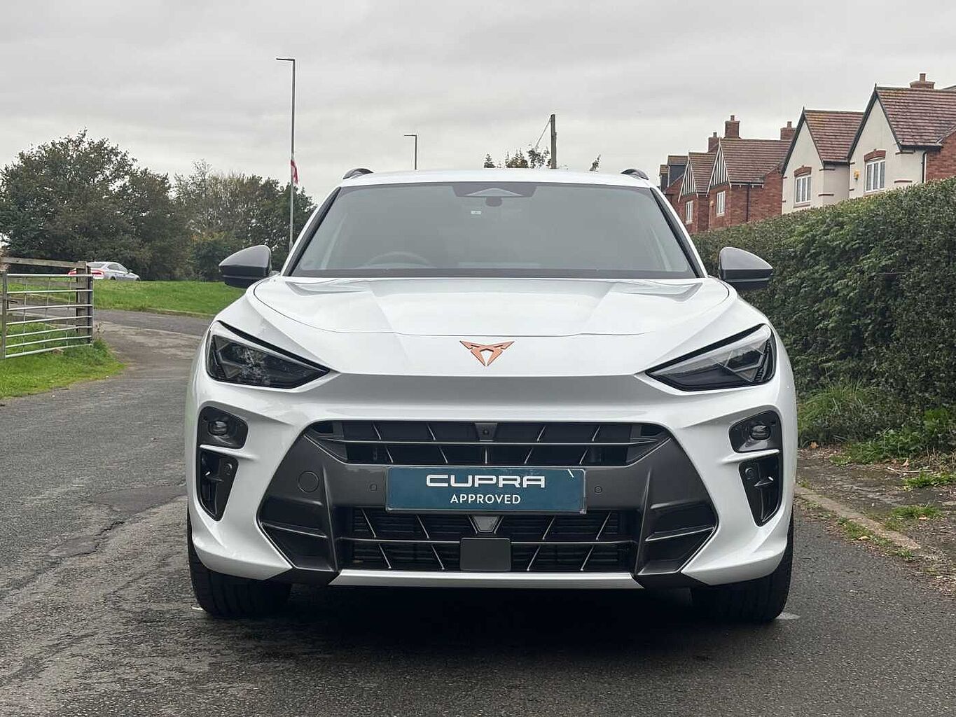 Used Cupra Terramar 2025 for sale - 76139638: Photo 8