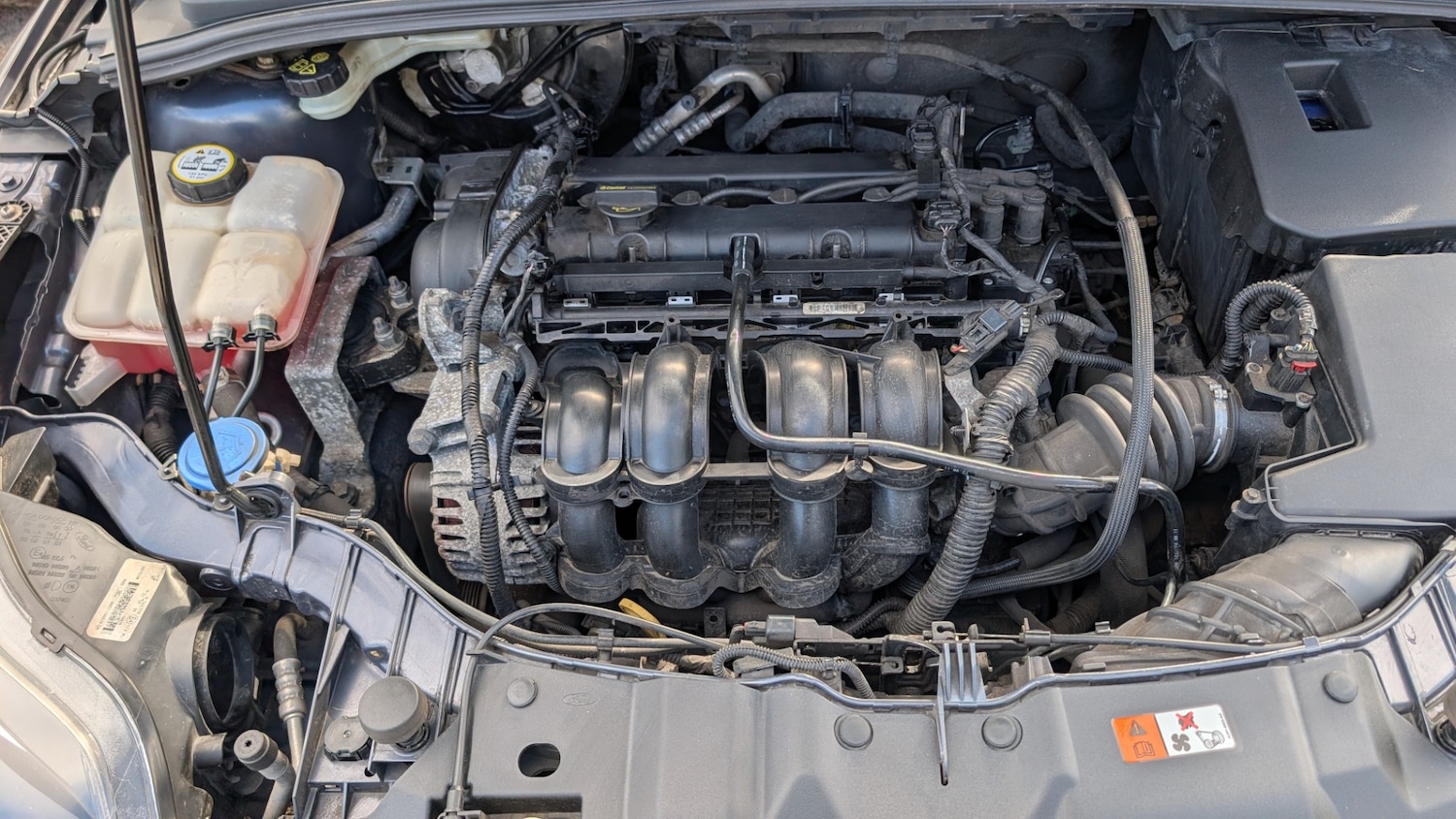 Used Ford Focus 2011 for sale - 76263549: Photo 14