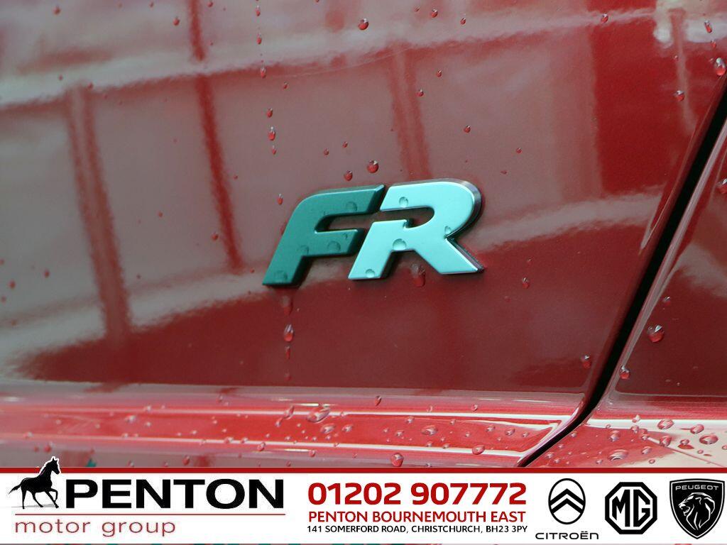 Used SEAT Ibiza for sale - 77538126: Photo 25