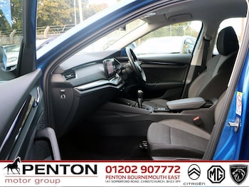 Used Skoda Octavia 2022 for sale - 76020219: Photo