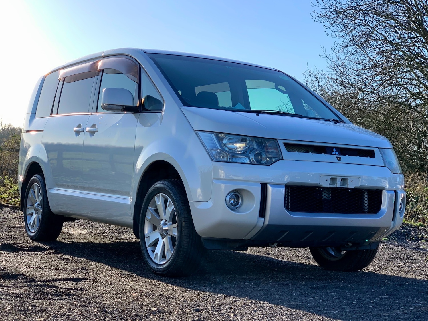 Used Mitsubishi Delica 2010 for sale - 76035817: Photo 1