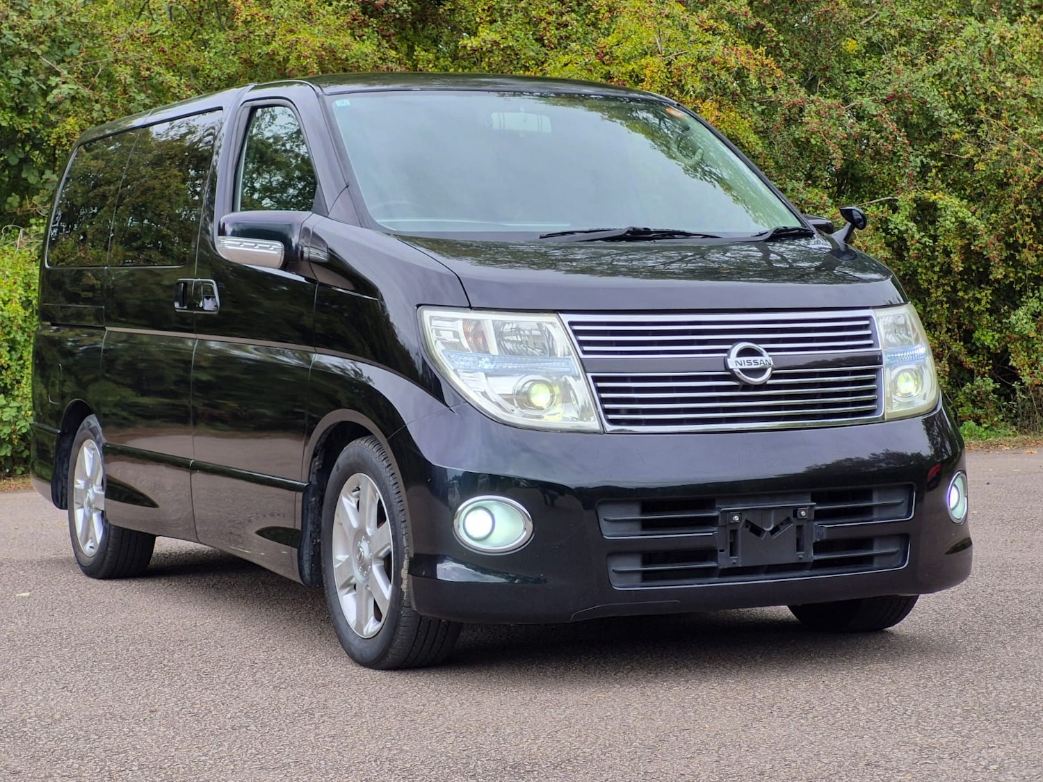 Used Nissan Elgrand 2009 for sale - 76078916: Photo 1