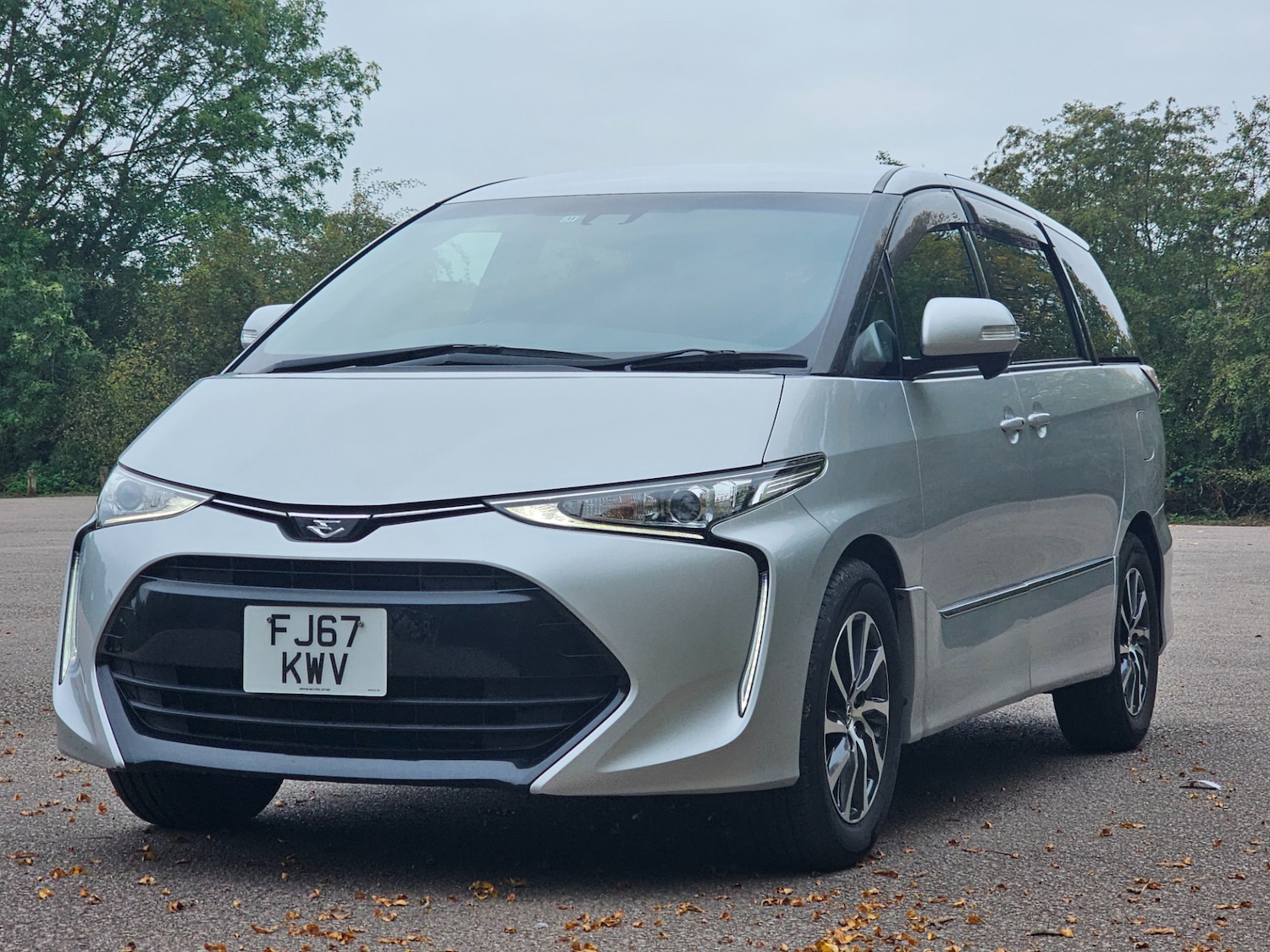 Used Toyota Estima for sale - 76299519: Photo 3