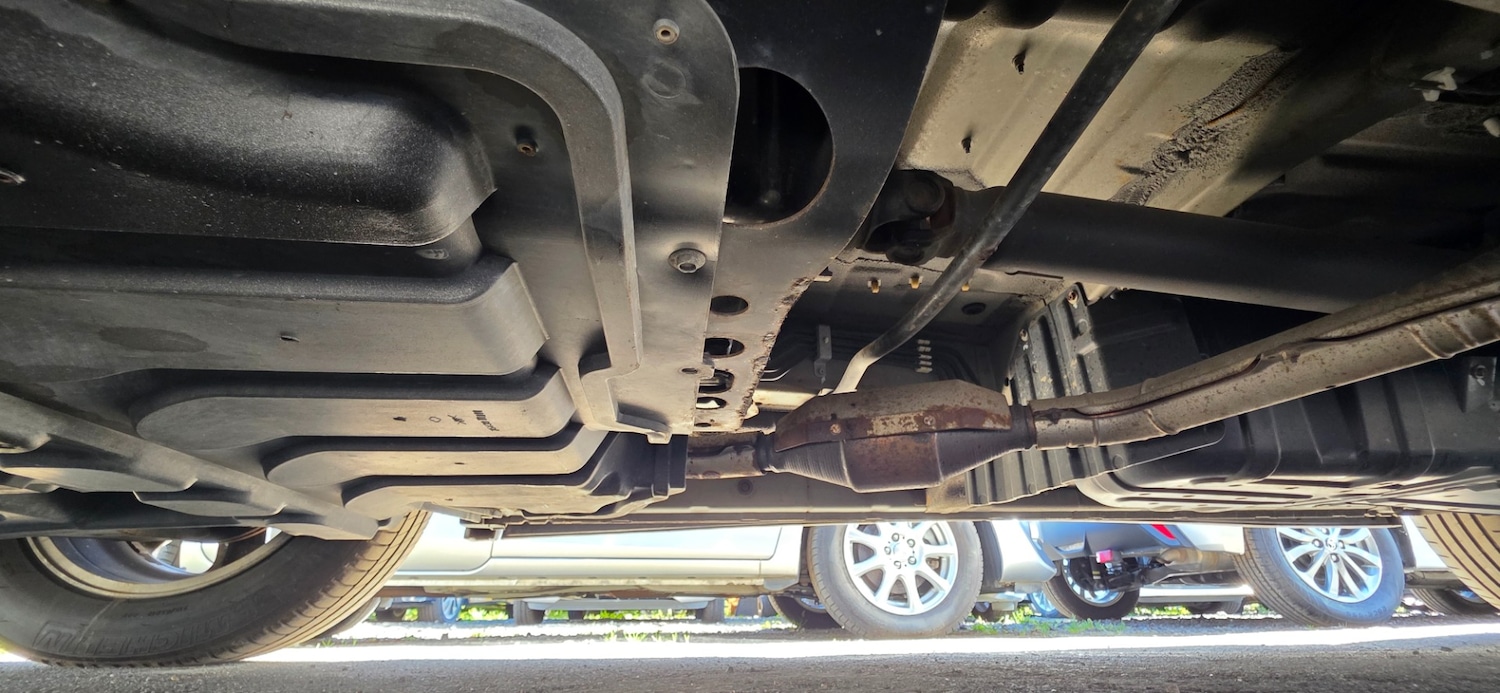 Used Nissan Elgrand 2009 for sale - 78144749: Photo 61