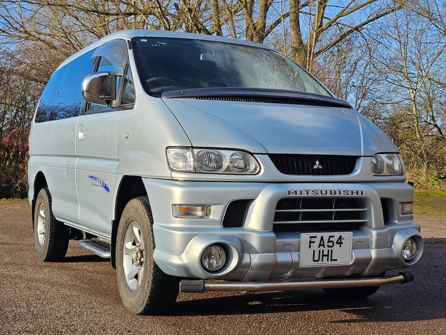 Used Mitsubishi Delica for sale - 76893079: Photo 1
