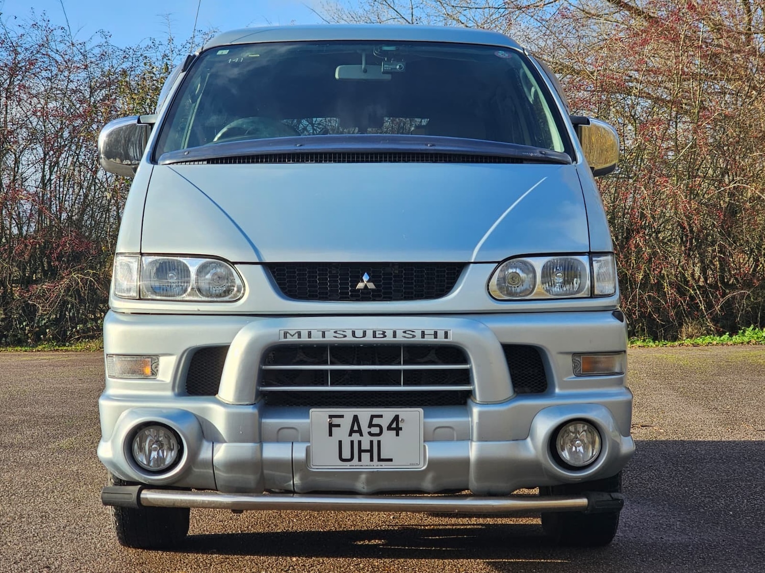 Used Mitsubishi Delica for sale - 76893079: Photo 2