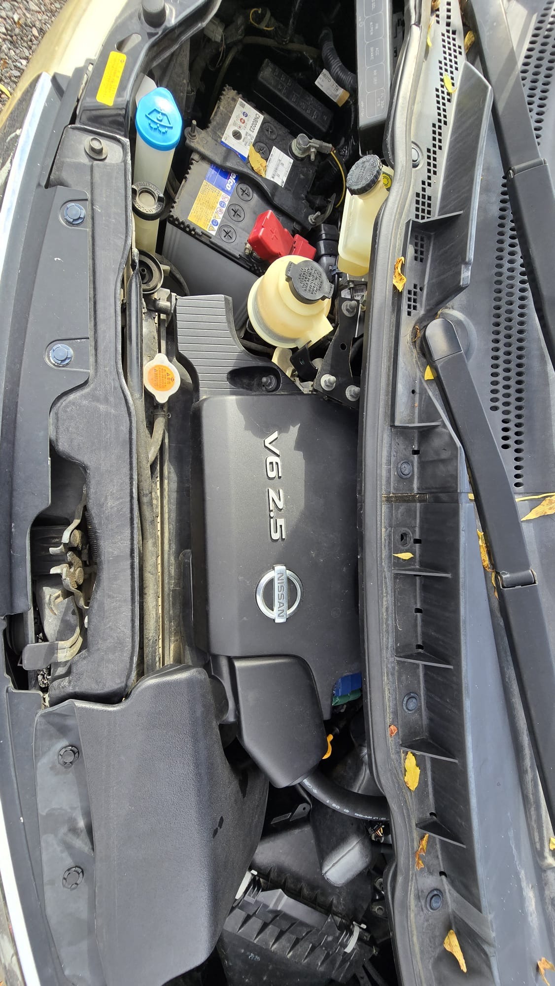 Used Nissan Elgrand for sale - 76232879: Photo 31