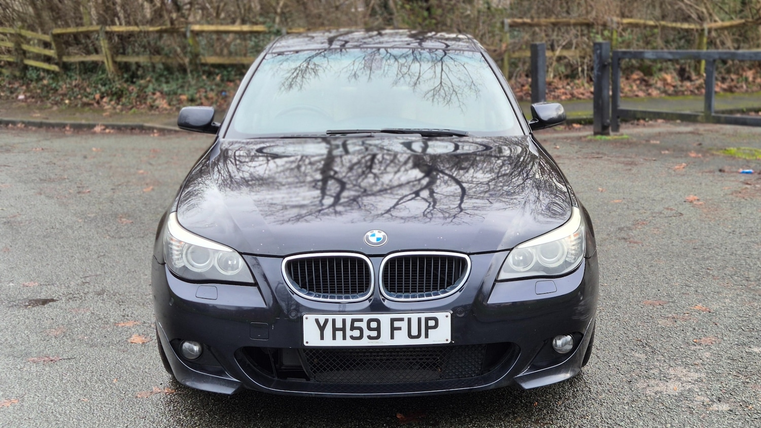 Used BMW 5 Series 2009 for sale - 77168372: Photo 2