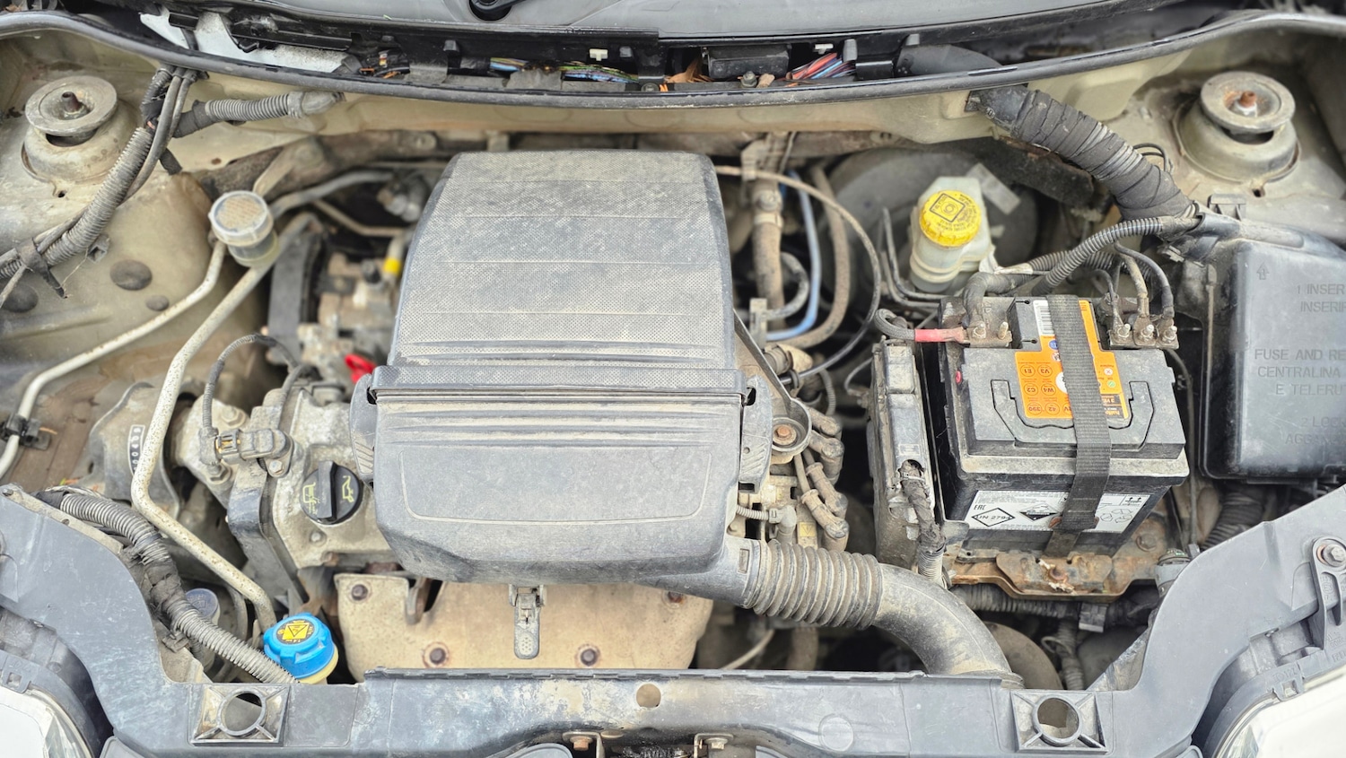 Used Fiat Panda 2009 for sale - 77300362: Photo 30