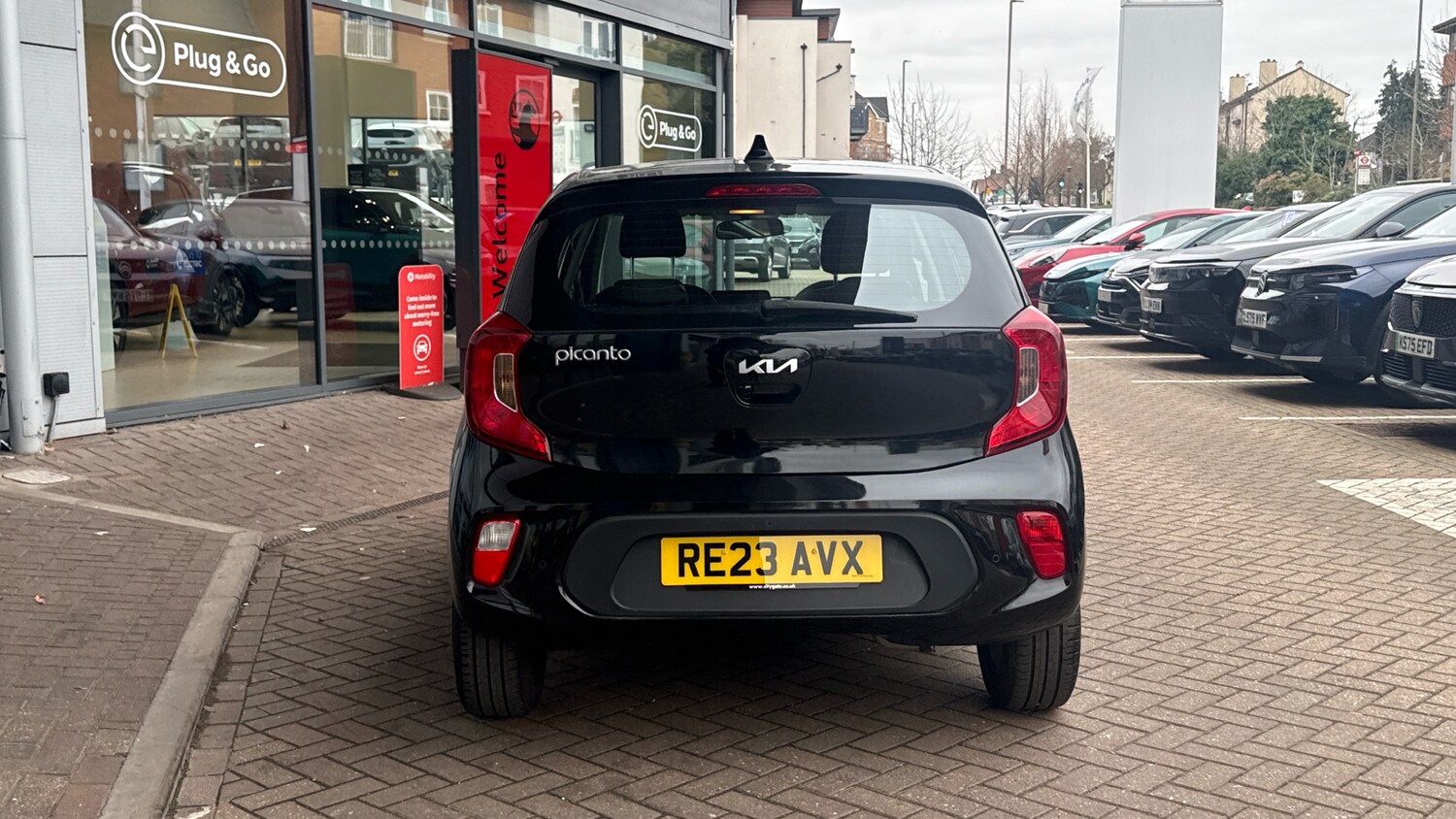 Used Kia Picanto 2023 for sale - 77684988: Photo 9