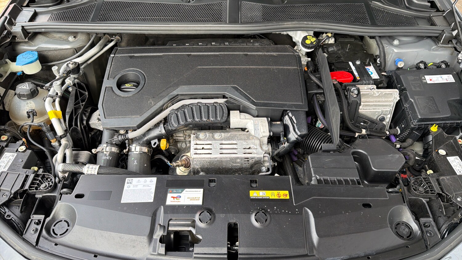 Used Peugeot 308 2025 for sale - 78206006: Photo 18