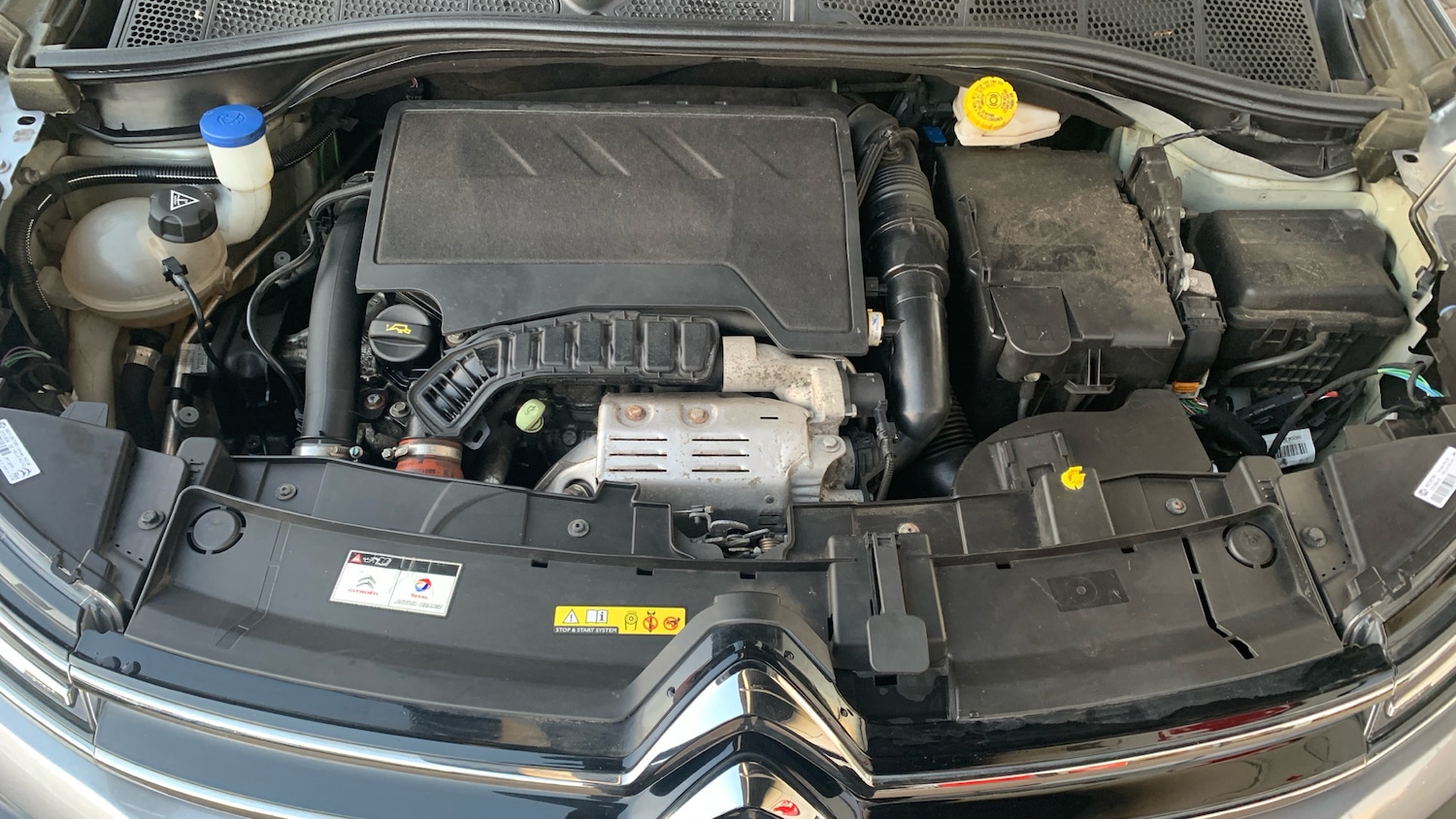 Used Citroen C4 Cactus 2019 for sale - 76866806: Photo 18